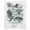 Visit FL State Parks Tea Towel