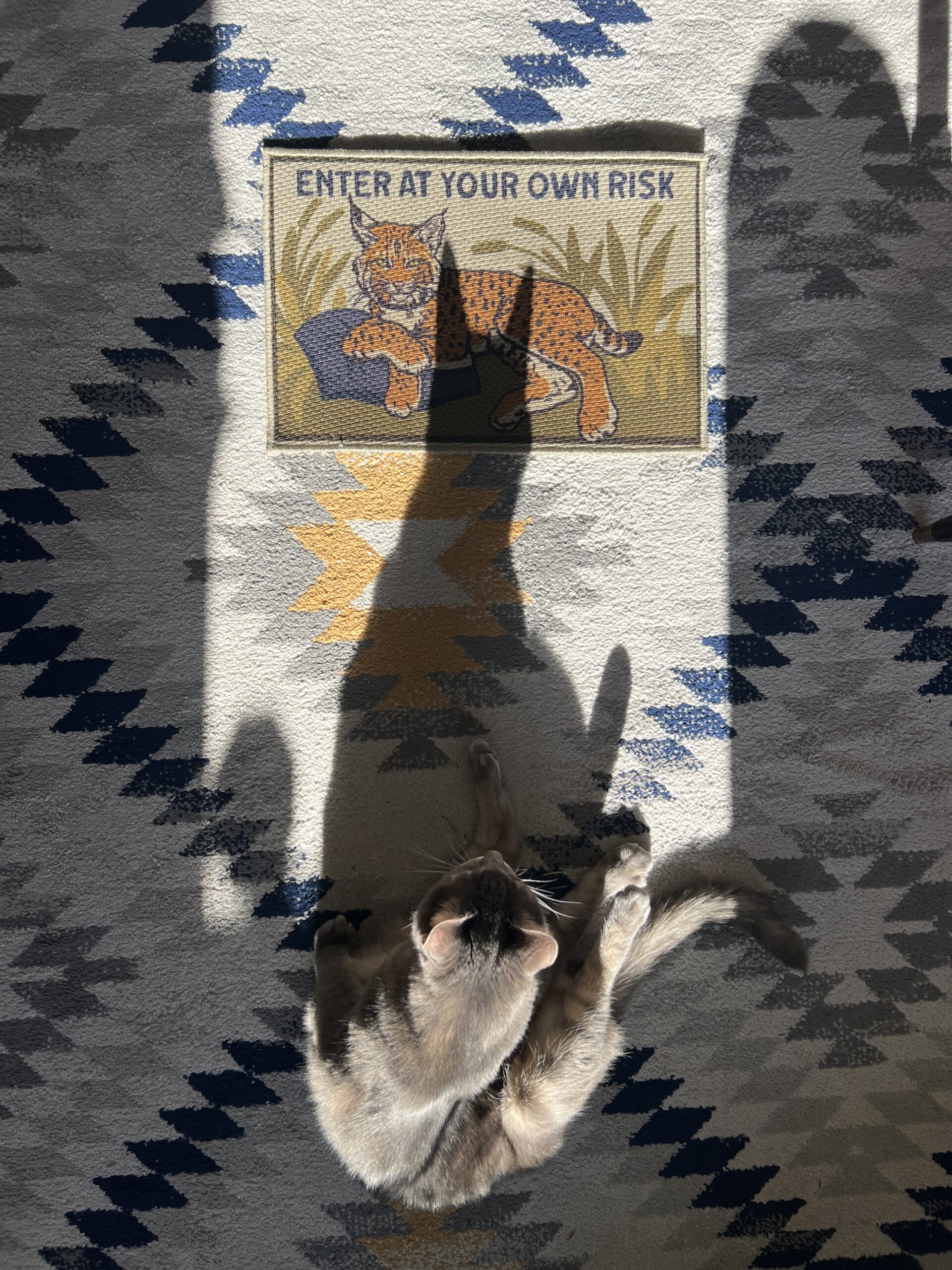Enter At Your Own Risk Floor Mat