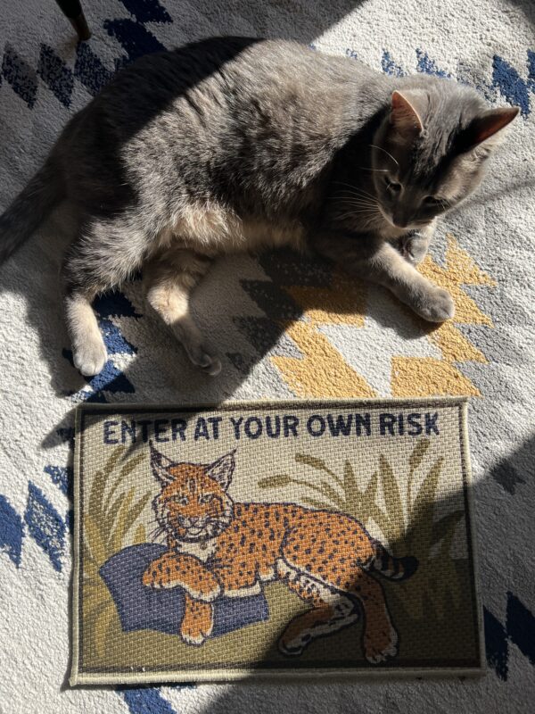 Enter At Your Own Risk Floor Mat