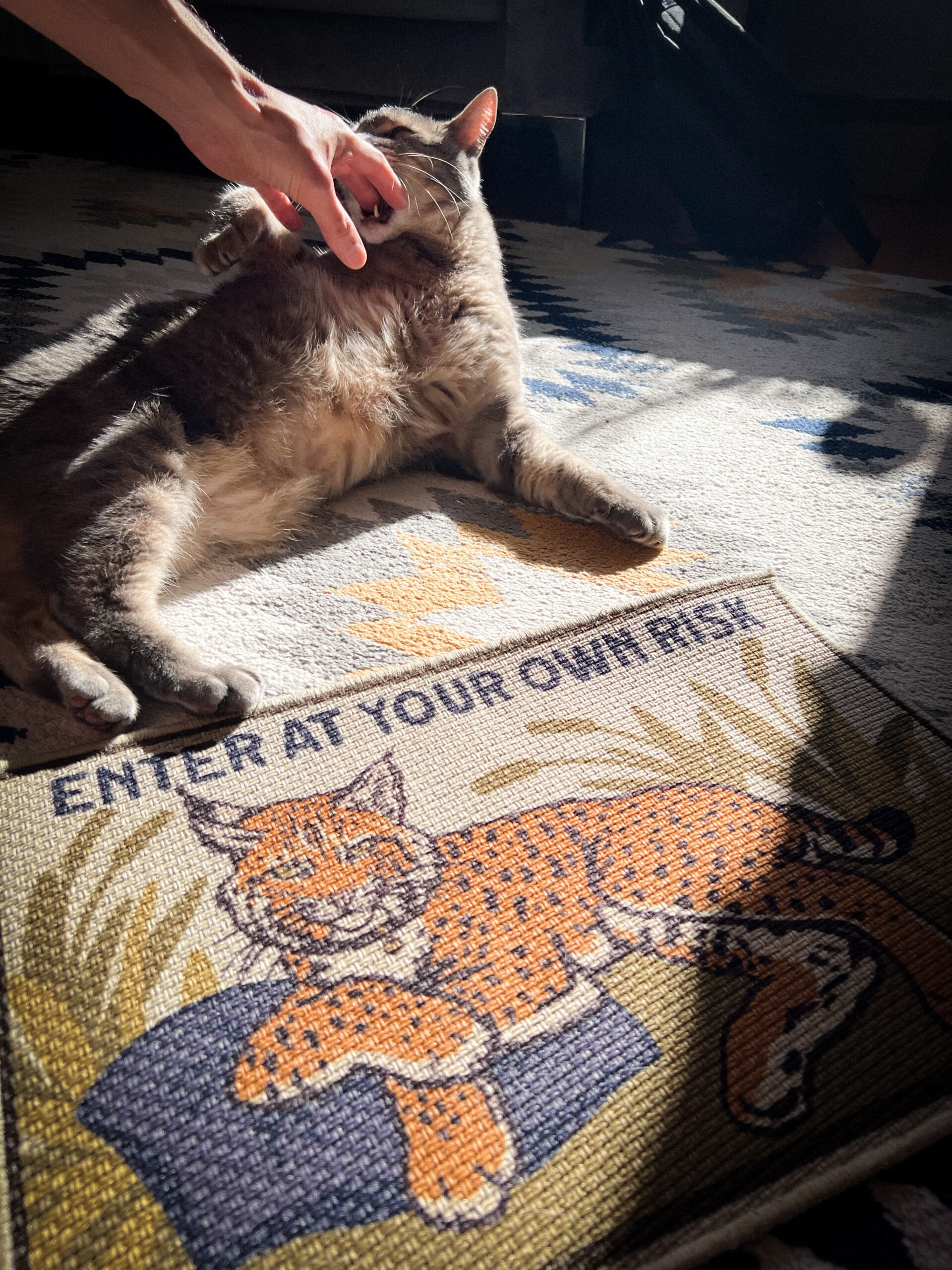 Enter At Your Own Risk Floor Mat