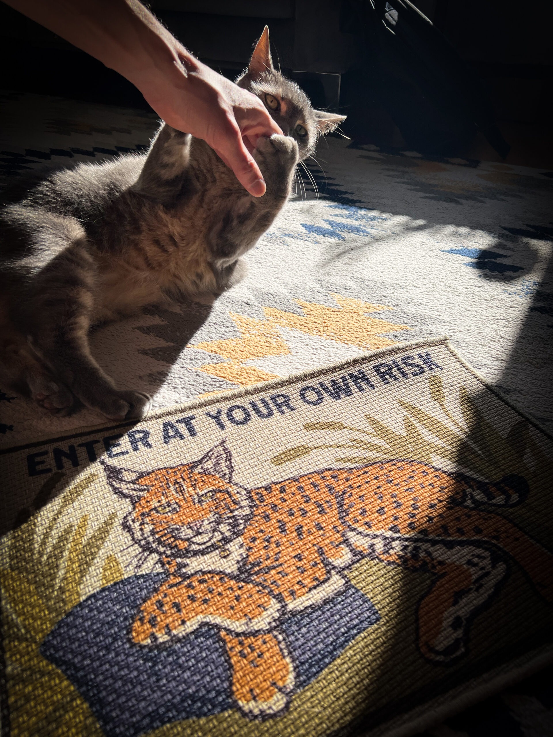 Enter At Your Own Risk Floor Mat
