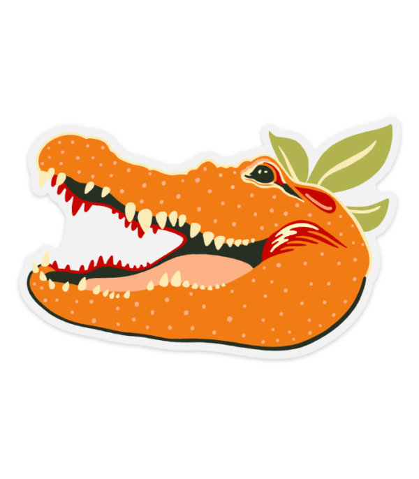 Orange & Blue Clear Bumper Sticker