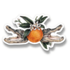 Orange Blossom Sticker