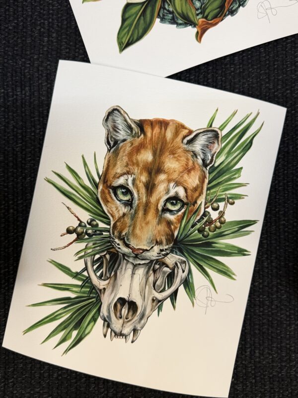 Florida Panther Art Print